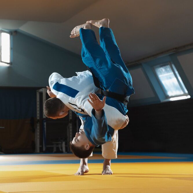 judo